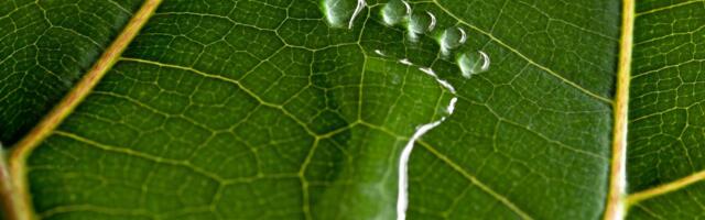 Cogo Enables ING Customers to View CO2 Emissions of Spending in Mobile Banking App