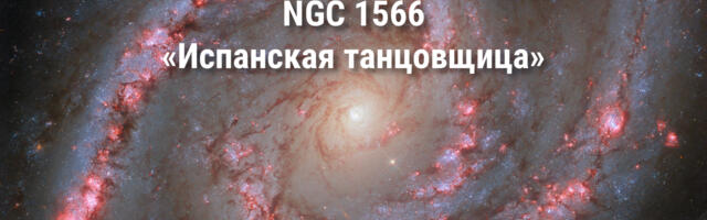 NGC 1566 — «Испанская танцовщица»