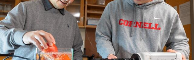 Scientists Found a Weird New Way to Wash Fruits and Vegetables