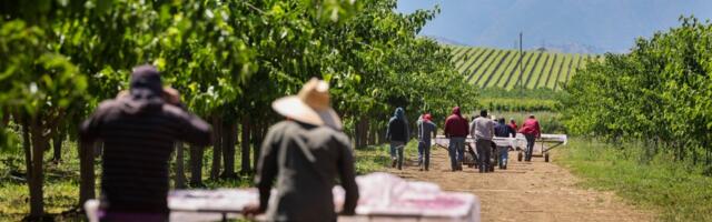 Brentwood takes step toward building agriculture innovation center