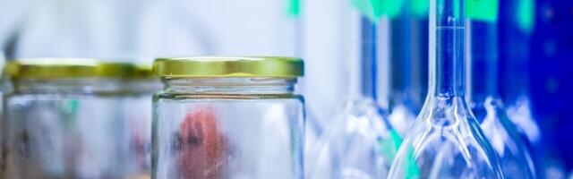 Biotech startup opens UK’s first pilot facility for cultivated animal fat
