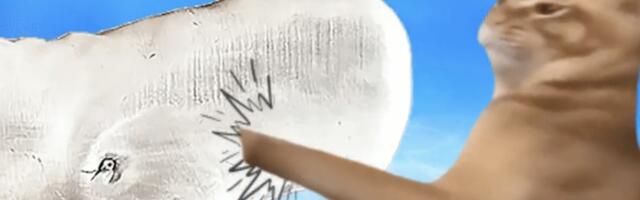 Jump Trading Firm Spends $500,000 on Catslap, Cat Meme Coin to Be Listed on CEX in 2 Days