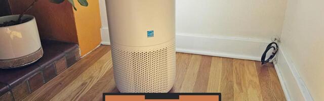 Our favorite air purifier is $37 off for Prime Day