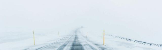 Fidelity's Jurrien Timmer: Expect lame 2026 as four-year bitcoin cycle appears intact