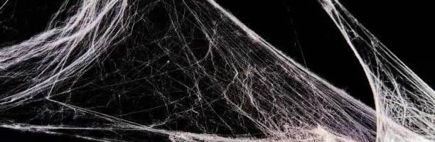 OSINT для ленивых. Часть 6: Фотошоп наше все? Выявляем фейк за 2 минуты