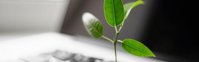 How new tech can fix biodiversity’s critical data gap