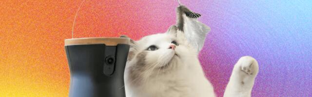 8 Best Pet Cameras (2025), Tested and Reviewed