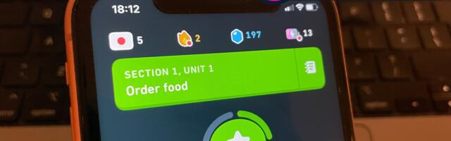 I never thought learning a language could be fun and addictive until I found Duolingo