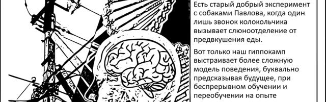 Часть мозга, которая предугадывает события. Ценой реорганизации памяти