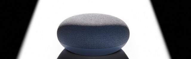 Google Home Is So Bad That a Lawsuit Could Be on Its Way