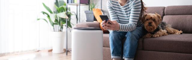 Humidifier vs. Purifier: How to Pick the Right Option for Yourself