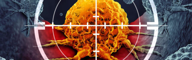 A new era in cancer therapies is at hand