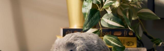 Casio’s Fluffy AI Robot Squeaked Its Way Into My Heart Casio’s Fluffy AI Robot Squeaked Its Way Into My Heart