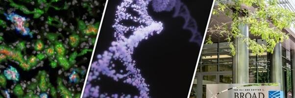 Healthcare innovation gets a boost from NVIDIA AI