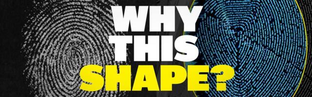 Why does this forest look like a fingerprint?