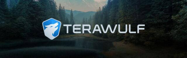 Google boosts stake in Bitcoin miner TeraWulf to 14% with $3.2B investment, stock surges
