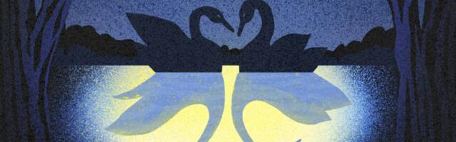 Let’s get divorced