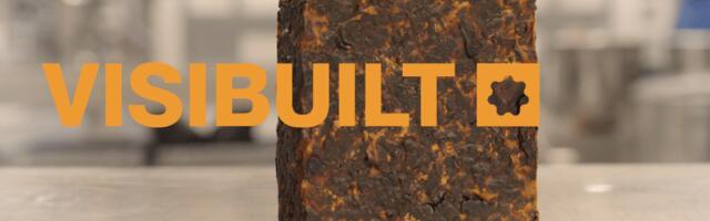 Mycelium-based paving material developer Visibuilt raises €3.34 million out of Denmark