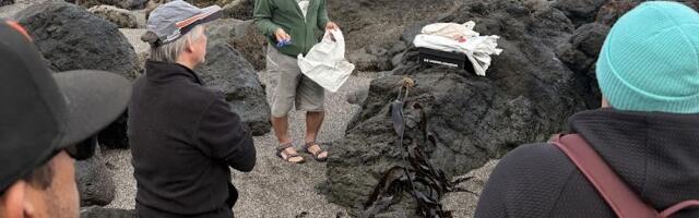 From beach to bottle: Bay Area gin makers using seaweed in products