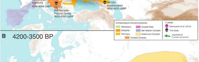 Пример стереотипа — чумы в России не было, потому что у нас бани ( ложный стереотип )