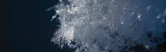 Scientists solve decades-old 2D physics puzzle — Chaotic growth in a 2D quantum system obeys statistical laws