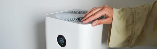Your Air Purifier Could Spit Pollutants Back Into the Air if You Make This One Mistake