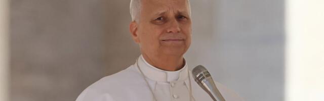 Pope Leo XIV asks the AI industry to 'cultivate moral discernment'