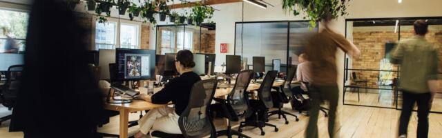 A company built a 'Michelin-star workspace' designed to reduce stress. It has indoor plants, massages, and a custom scent.