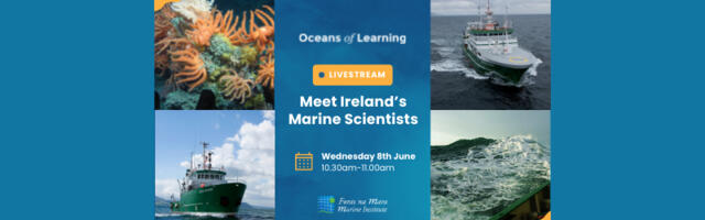 Marine Institute to Broadcast Live Chat With Marine Scientists on World Ocean Day