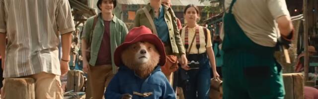 Ransomware Hackers Come for Paddington Bear