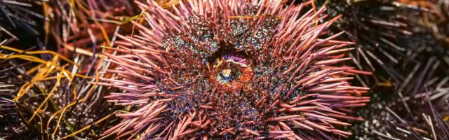 SEAI announces funding call for energy research and innovation projects