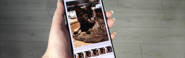 Snapseed sprouts its first new growth in years, as major update blooms