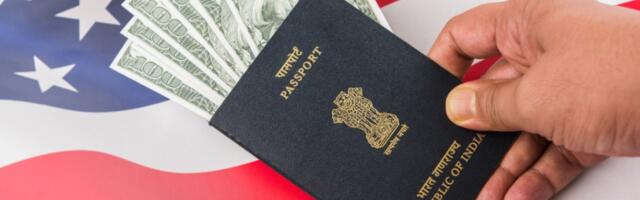 U.S. Embassy in India Warns Theft Can Get Visa Cancelled After Viral Shoplifting Video