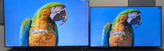 I put TCL’s affordable mini-LED TV and a Samsung QLED head-to-head, and here where my money would go on Black Friday I put TCL’s affordable mini-LED TV and a Samsung QLED head-to-head, and here where my money would go on Black Friday