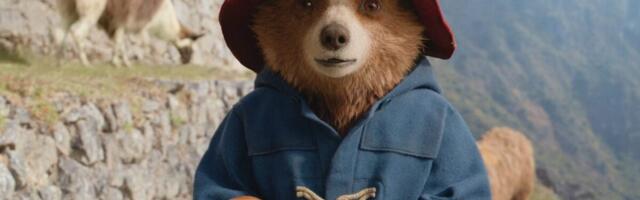 ‘Veep’ Creator Armando Iannucci Set to Write ‘Paddington 4’