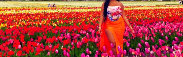 I took a day trip from Florida to Amsterdam to see tulips. I spent more time on a plane than in the fields, but I'd definitely do it again.