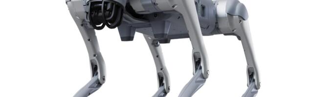 Man Finds Robot Dog Is Bad at Protecting His Chickens, But Might Be Good at Sending Data to China