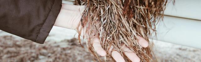 Malmö-based Salt & Fiber secures €300k to turn seagrass into sustainable textile yarns; launches crowdfunding campaign