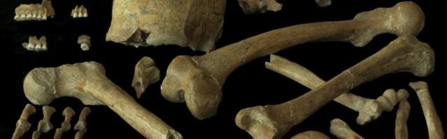 The Last Neanderthals Weren’t the Genetic Disasters We Thought