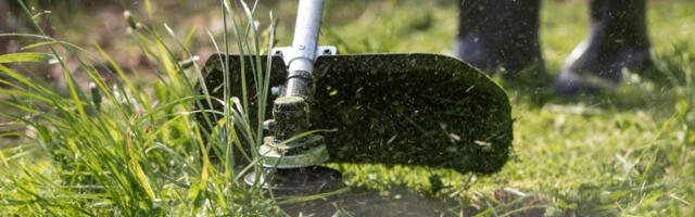 Can A Weed Eater Replace A Lawn Mower For A Small Yard?