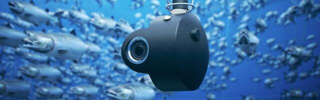 Excitement builds as Ireland’s aquatech industry aims for global recognition at BIM conference
