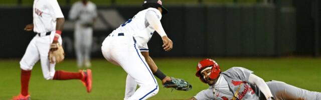 A new hedge fund launching next year hopes to be the 'farm team' for the $5 trillion industry