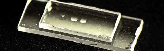 'This computer works almost like a guitar': Fingernail-sized quantum chip uses vibrations to store data