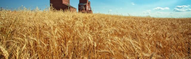 Builders VC debuts $250 million USD for second fund