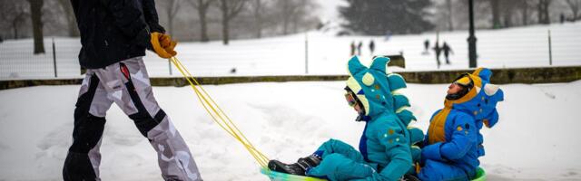 Snow days hit working parents hard. Here's how 8 Business Insider parents manage.