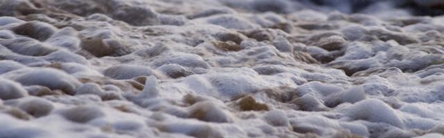 Surge in XRP, Dogecoin Futures Bets Signals Speculative Froth