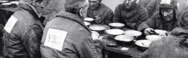 Менеджер — мама утка