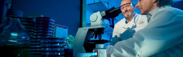 Datapac’s technology supports horse health and wellbeing for the Irish Equine Centre