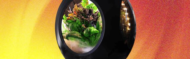 Plantaform Smart Indoor Garden Review: Rewarding but Risky