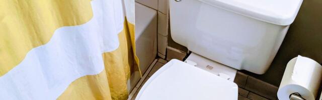 Using Your Phone on the Toilet Could Contribute to Hemorrhoids, Study Finds